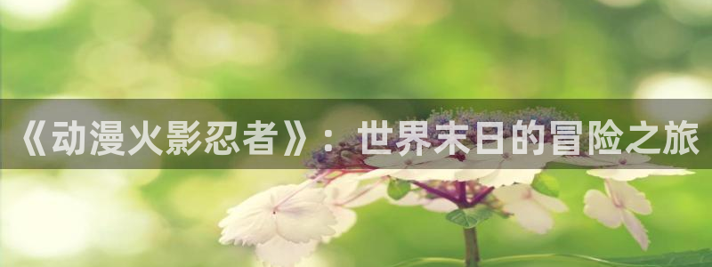 age动漫樱花：《动漫火影忍者》：世界末日的冒险之旅
