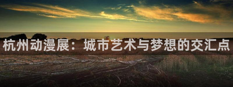 age动漫网官网入口：杭州动漫展：城市艺术与梦想的交汇点
