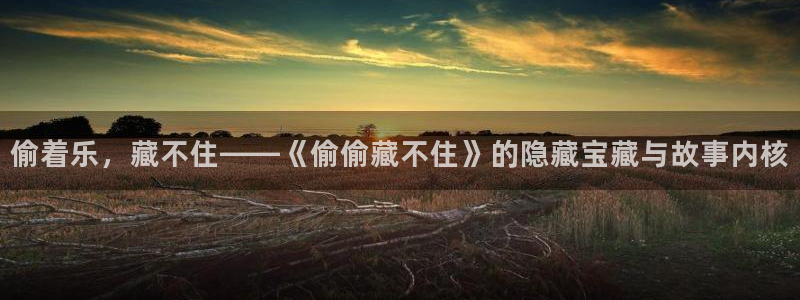 age动漫网官网入口：偷着乐，藏不住——《偷偷藏不住》的隐藏宝藏与故事内核