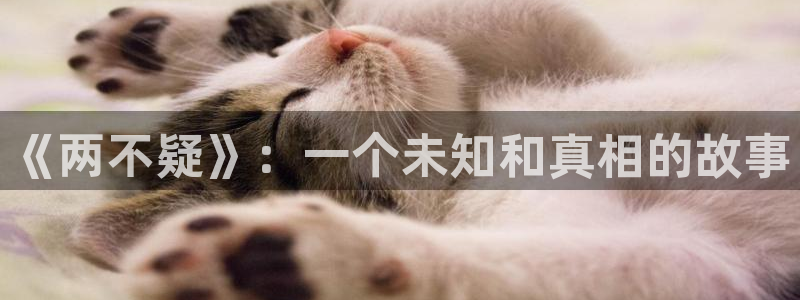 kakaopage韩漫官网：《两不疑》：一个未知和真相的故事