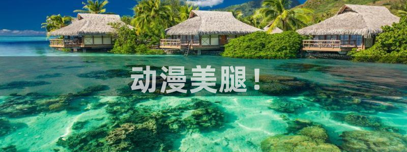 age樱花动漫：动漫美腿！