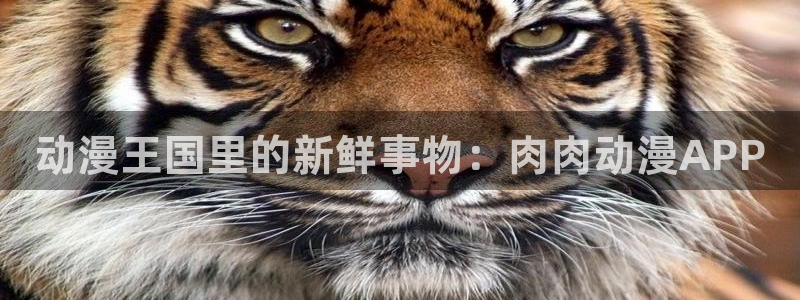 stagenehind韩漫免费观看：动漫王国里的新鲜事物：肉肉动漫APP