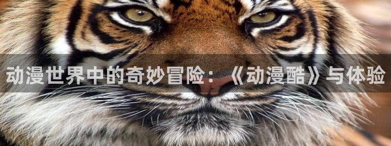 age动漫官网入口老版本：动漫世界中的奇妙冒险：《动漫酷》与体验