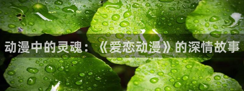 age专注动漫的门户网站：动漫中的灵魂：《爱恋动漫》的深情故事