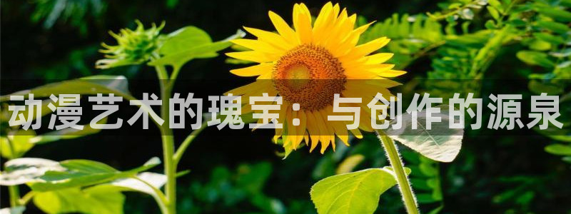 age动漫下载动漫全免费：动漫艺术的瑰宝：与创作的源泉